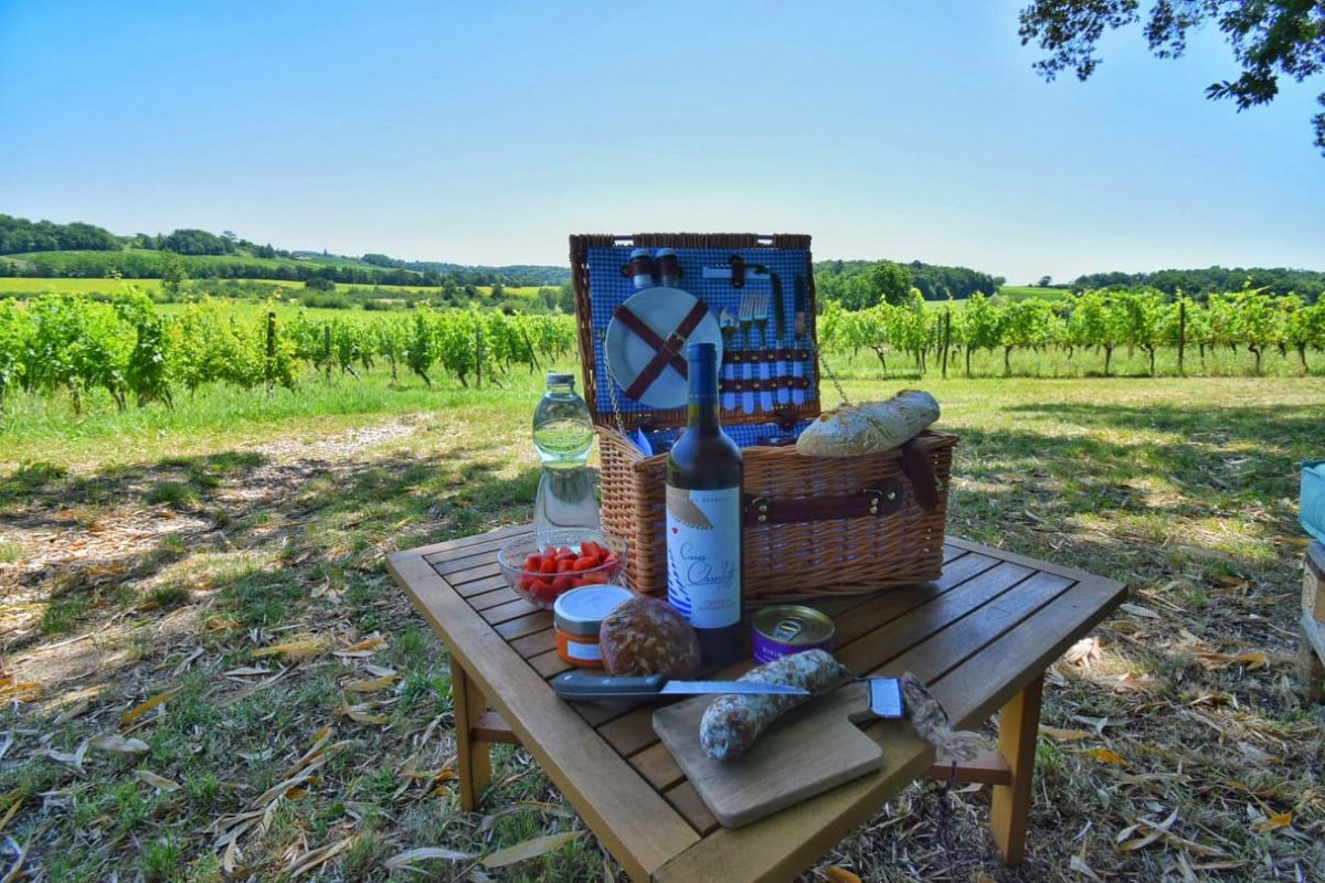 Pique-nique dans les vignes avec vin rouge du Périgord